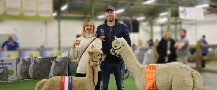 2024 Champions Merelbeke
