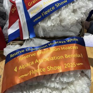 2025 Champion Fleeces