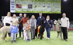 Champions Waregem 2025 3