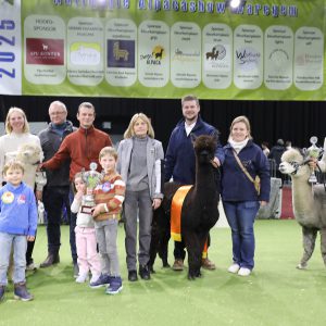 Champions Waregem 2025 3