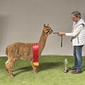 2026 03 Champion Suri Kronenberg 2026