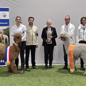 2026 03 Champions Kronenberg