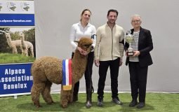 2026 03 GRAND Champion Kronenberg